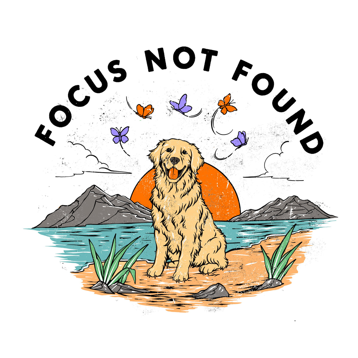 Focus Not Found