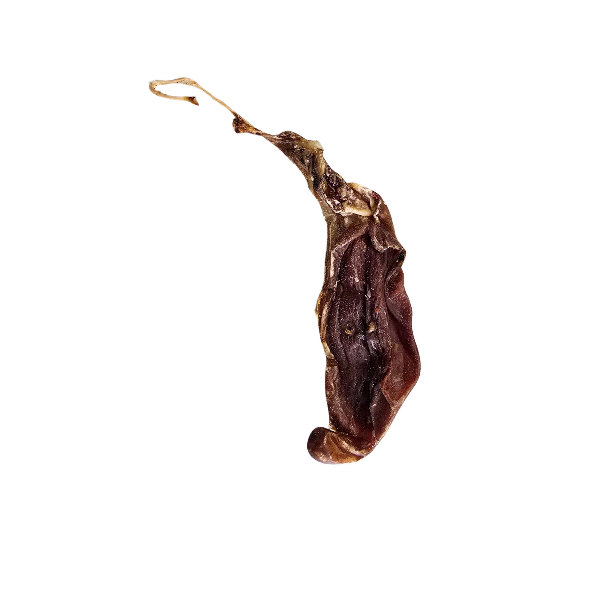 Lamb Jewels