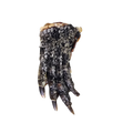 Crocodile Feet