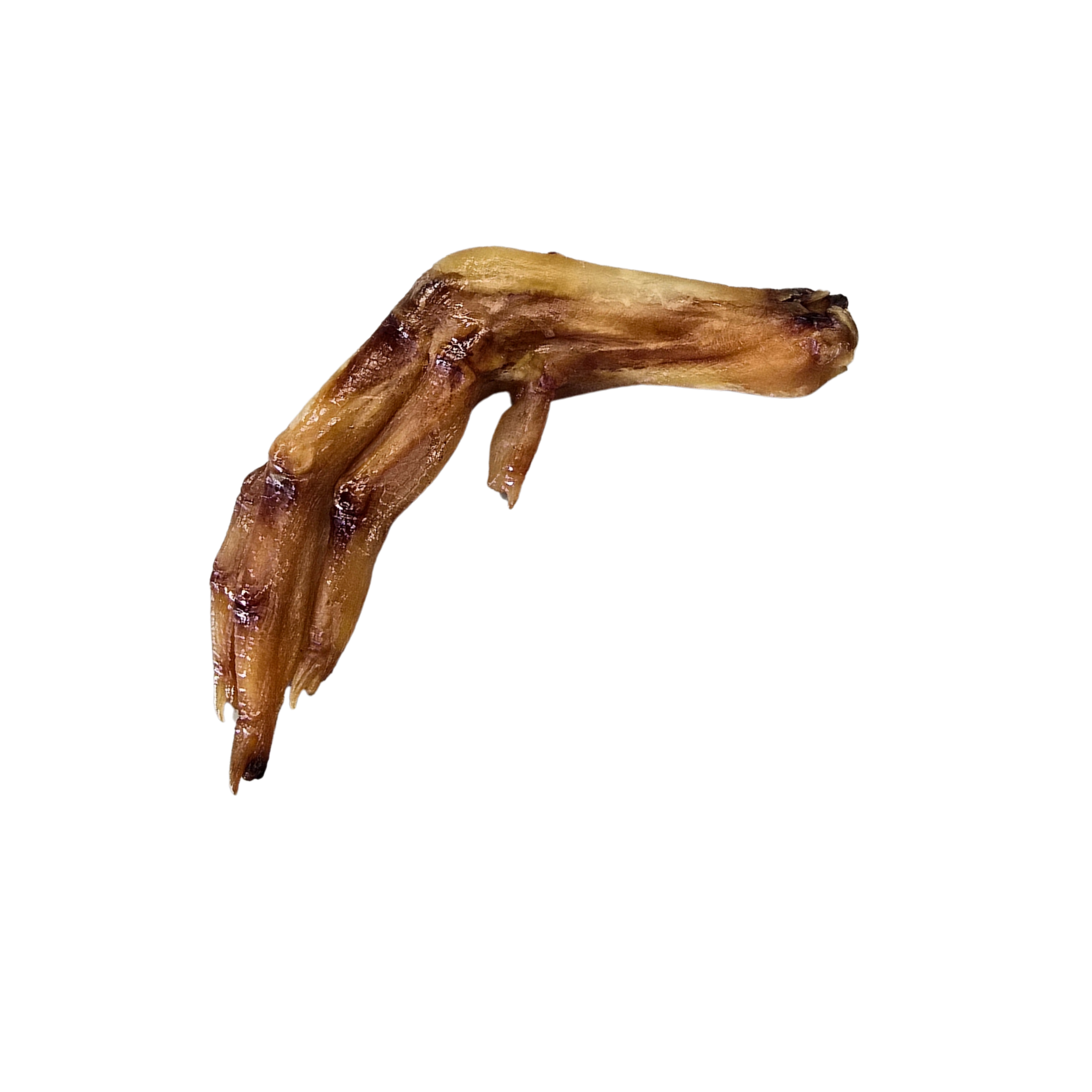 Duck Feet