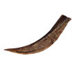 Goat Horn with Marrow