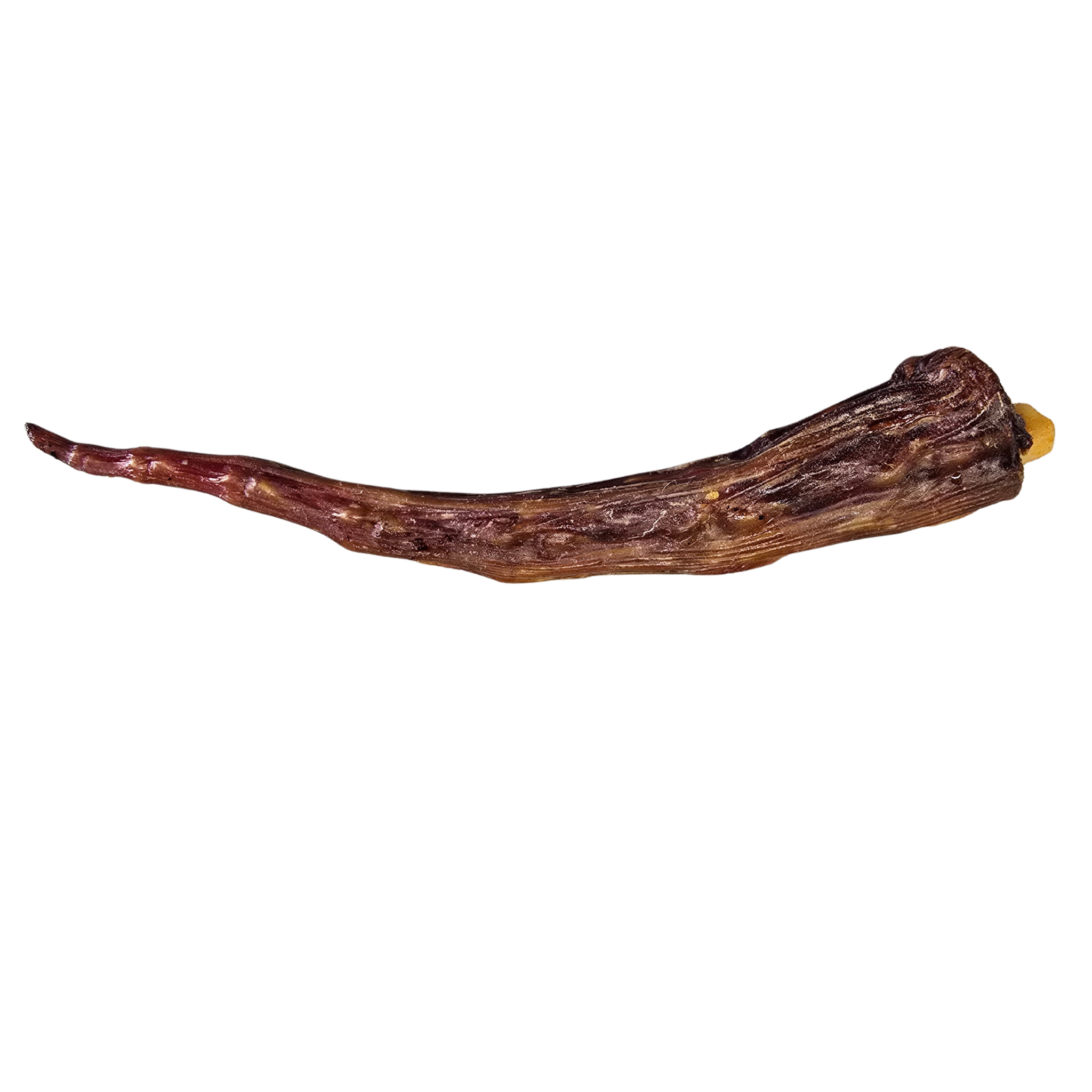 Kangaroo Tail Tips