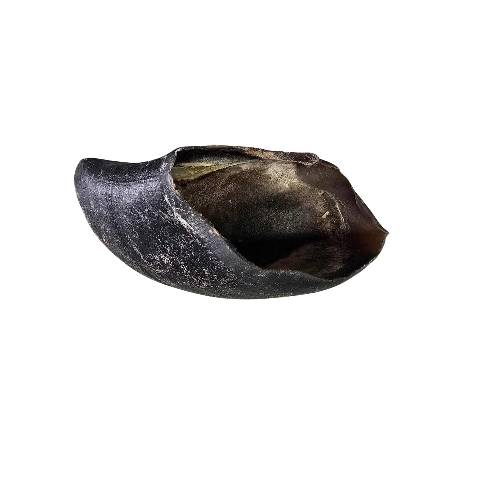Cow Hooves